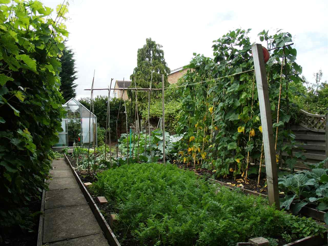 resized-2349823-veg patch.JPG